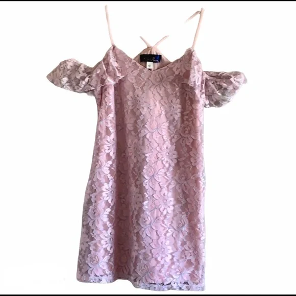 Francesca’s Collection Blue Rain Pink Lace Dress - Picture 4 of 4